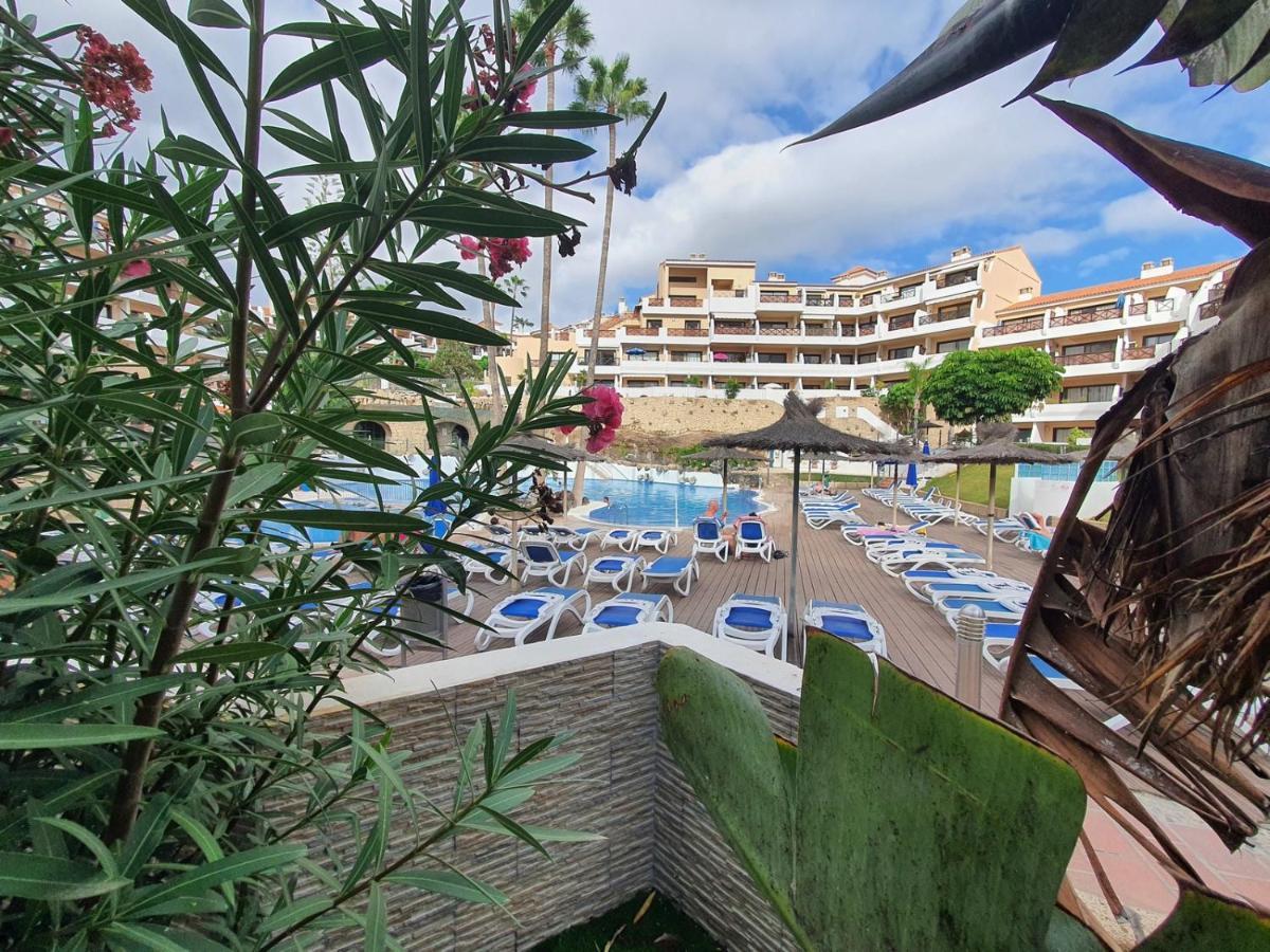 Brand New In Park Albatros With Pool View Appartement